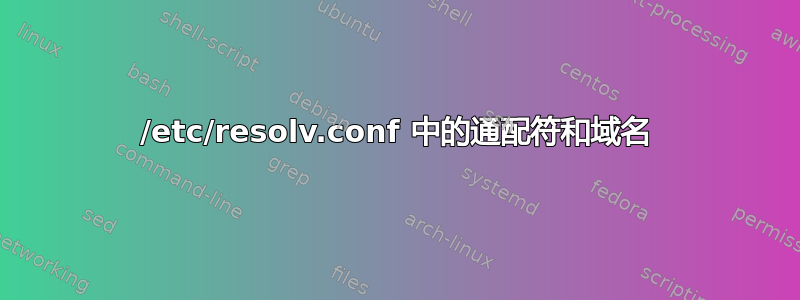 /etc/resolv.conf 中的通配符和域名