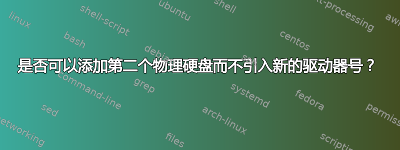 是否可以添加第二个物理硬盘而不引入新的驱动器号？