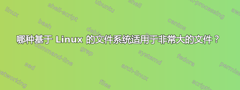 哪种基于 Linux 的文件系统适用于非常大的文件？