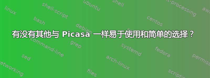 有没有其他与 Picasa 一样易于使用和简单的选择？