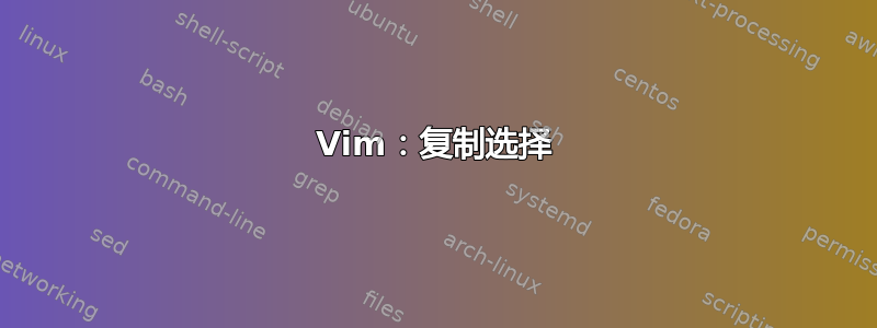 Vim：复制选择