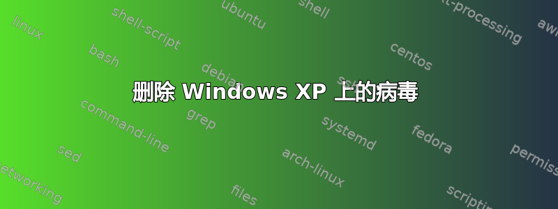 删除 Windows XP 上的病毒