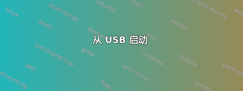 从 USB 启动