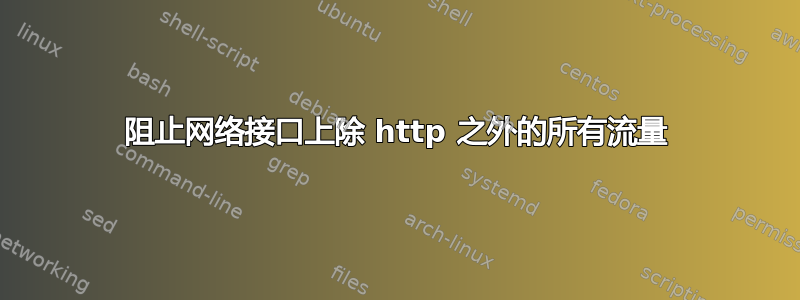 阻止网络接口上除 http 之外的所有流量