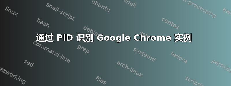 通过 PID 识别 Google Chrome 实例