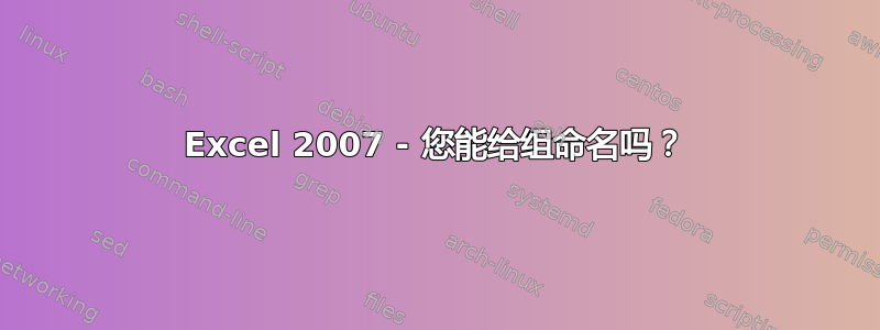 Excel 2007 - 您能给组命名吗？