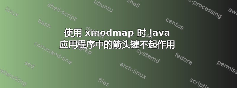 使用 xmodmap 时 Java 应用程序中的箭头键不起作用