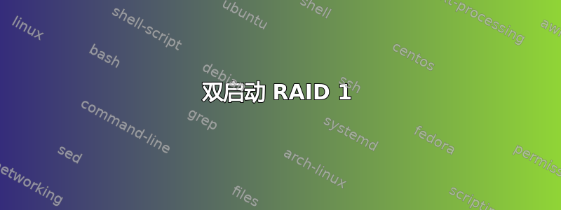 双启动 RAID 1