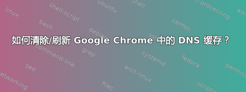 如何清除/刷新 Google Chrome 中的 DNS 缓存？