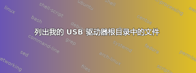 列出我的 USB 驱动器根目录中的文件