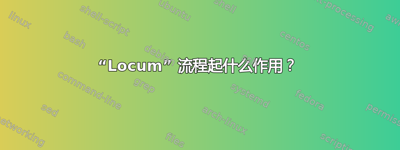 “Locum” 流程起什么作用？