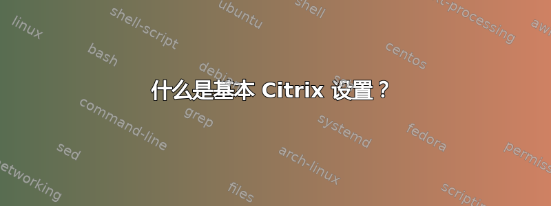 什么是基本 Citrix 设置？