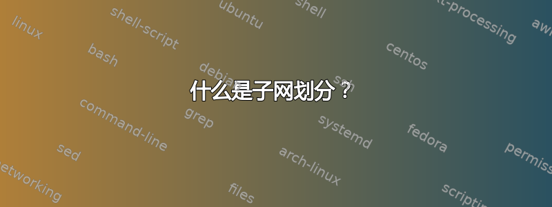 什么是子网划分？