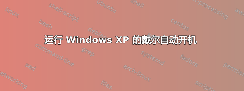 运行 Windows XP 的戴尔自动开机