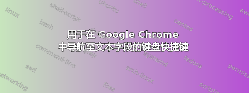 用于在 Google Chrome 中导航至文本字段的键盘快捷键