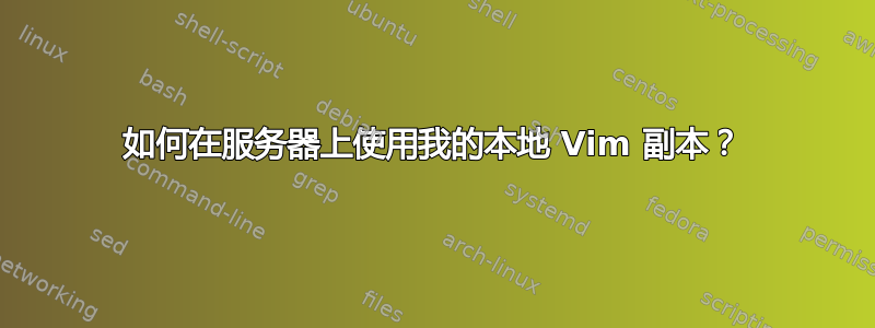 如何在服务器上使用我的本地 Vim 副本？