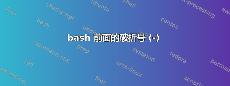 bash 前面的破折号 (-)