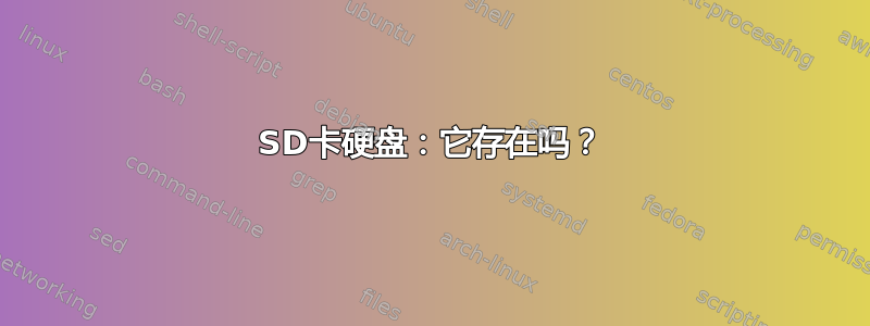 SD卡硬盘：它存在吗？