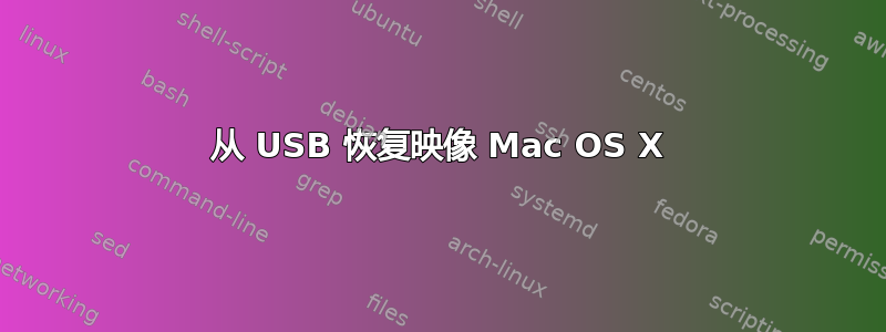 从 USB 恢复映像 Mac OS X