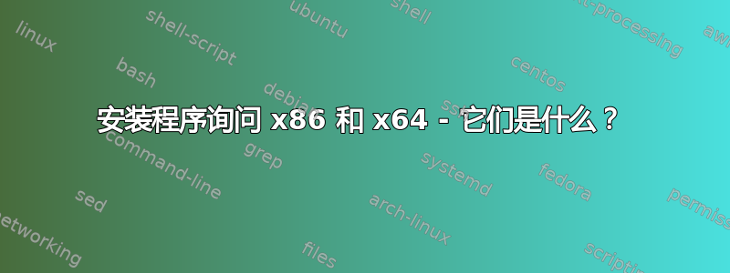 安装程序询问 x86 和 x64 - 它们是什么？