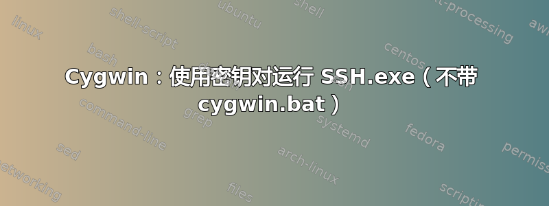 Cygwin：使用密钥对运行 SSH.exe（不带 cygwin.bat）