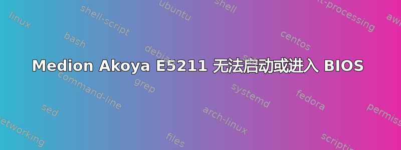 Medion Akoya E5211 无法启动或进入 BIOS