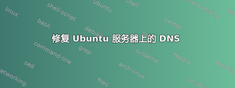 修复 Ubuntu 服务器上的 DNS