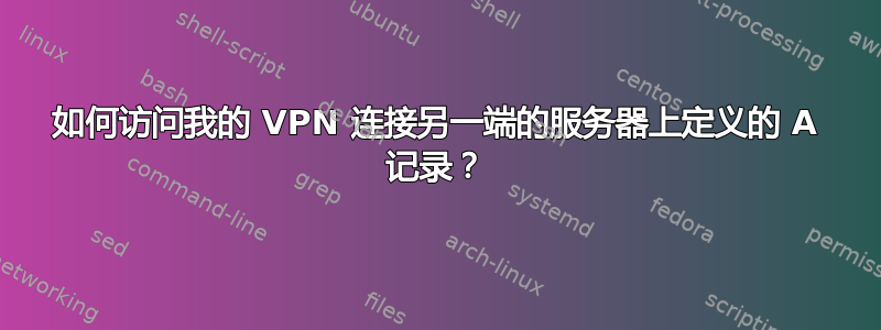 如何访问我的 VPN 连接另一端的服务器上定义的 A 记录？