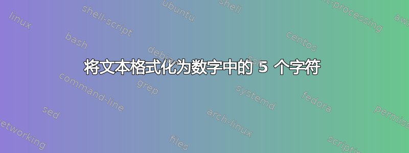 将文本格式化为数字中的 5 个字符