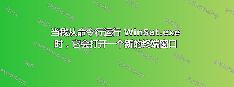 当我从命令行运行 WinSat.exe 时，它​​会打开一个新的终端窗口