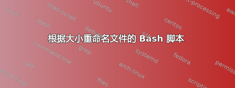 根据大小重命名文件的 Bash 脚本