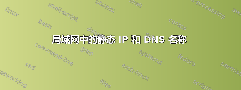 局域网中的静态 IP 和 DNS 名称