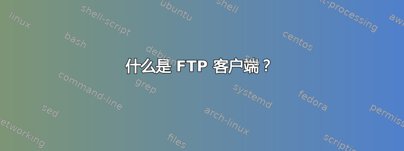 什么是 FTP 客户端？