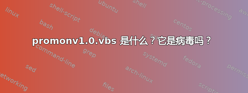 promonv1.0.vbs 是什么？它是病毒吗？