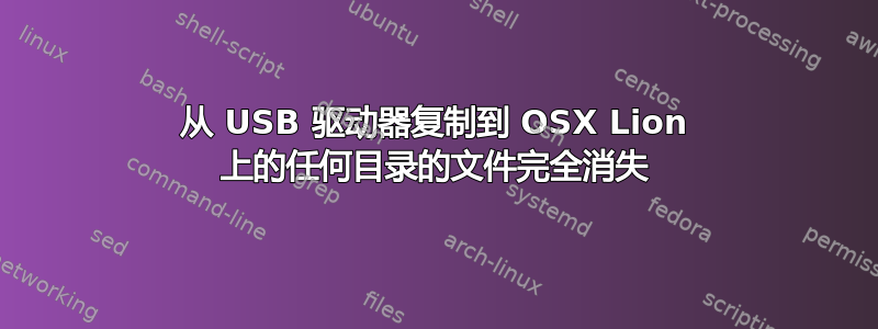 从 USB 驱动器复制到 OSX Lion 上的任何目录的文件完全消失