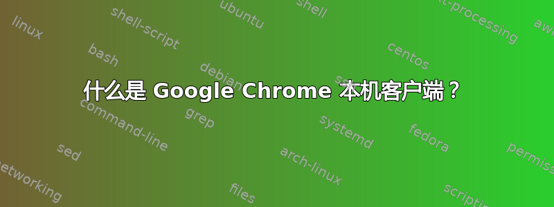 什么是 Google Chrome 本机客户端？