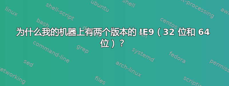 为什么我的机器上有两个版本的 IE9（32 位和 64 位）？