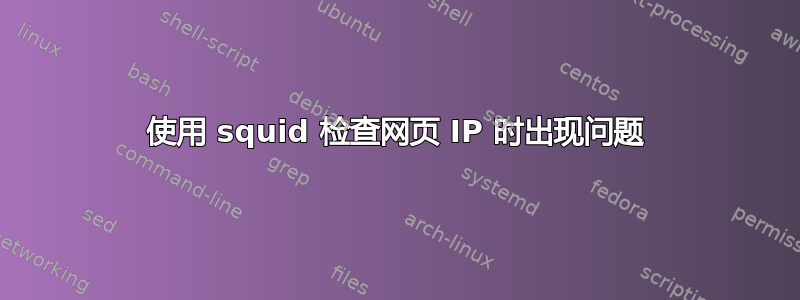 使用 squid 检查网页 IP 时出现问题