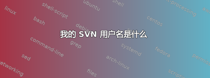 我的 SVN 用户名是什么