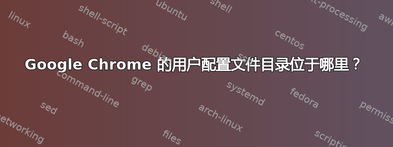 Google Chrome 的用户配置文件目录位于哪里？