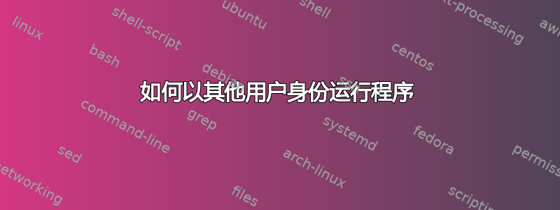 如何以其他用户身份运行程序