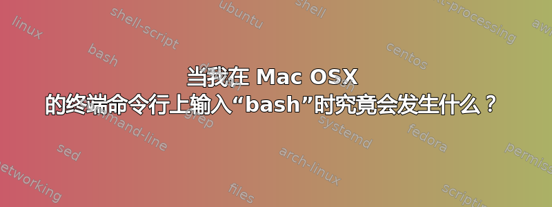 当我在 Mac OSX 的终端命令行上输入“bash”时究竟会发生什么？