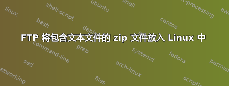 FTP 将包含文本文件的 zip 文件放入 Linux 中