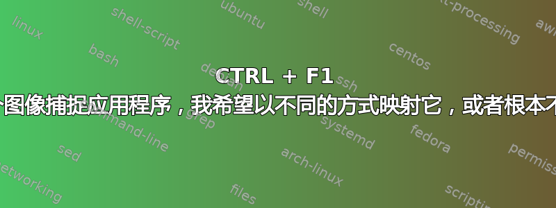 CTRL + F1 调出一个图像捕捉应用程序，我希望以不同的方式映射它，或者根本不映射它