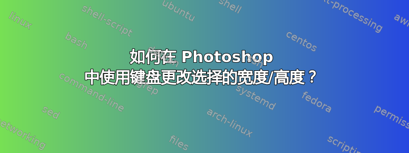 如何在 Photoshop 中使用键盘更改选择的宽度/高度？