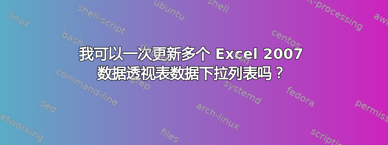 我可以一次更新多个 Excel 2007 数据透视表数据下拉列表吗？