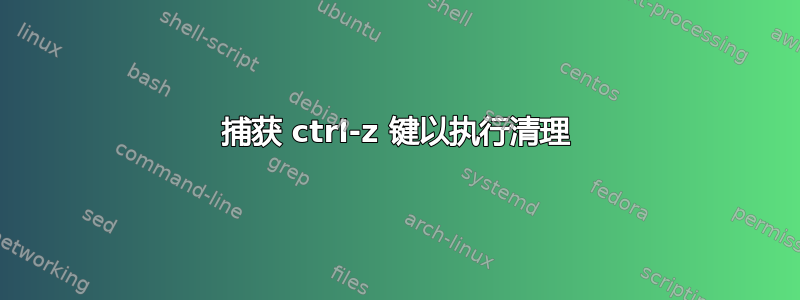 捕获 ctrl-z 键以执行清理