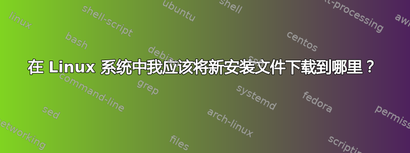 在 Linux 系统中我应该将新安装文件下载到哪里？