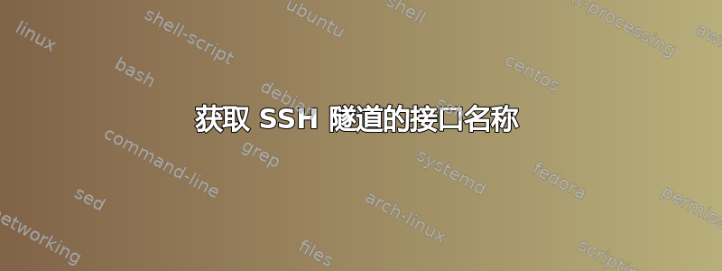 获取 SSH 隧道的接口名称