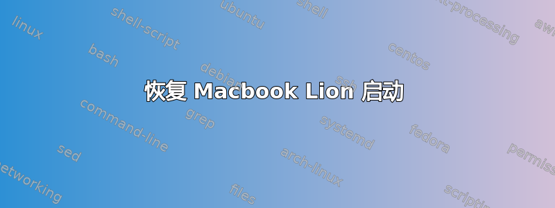 恢复 Macbook Lion 启动